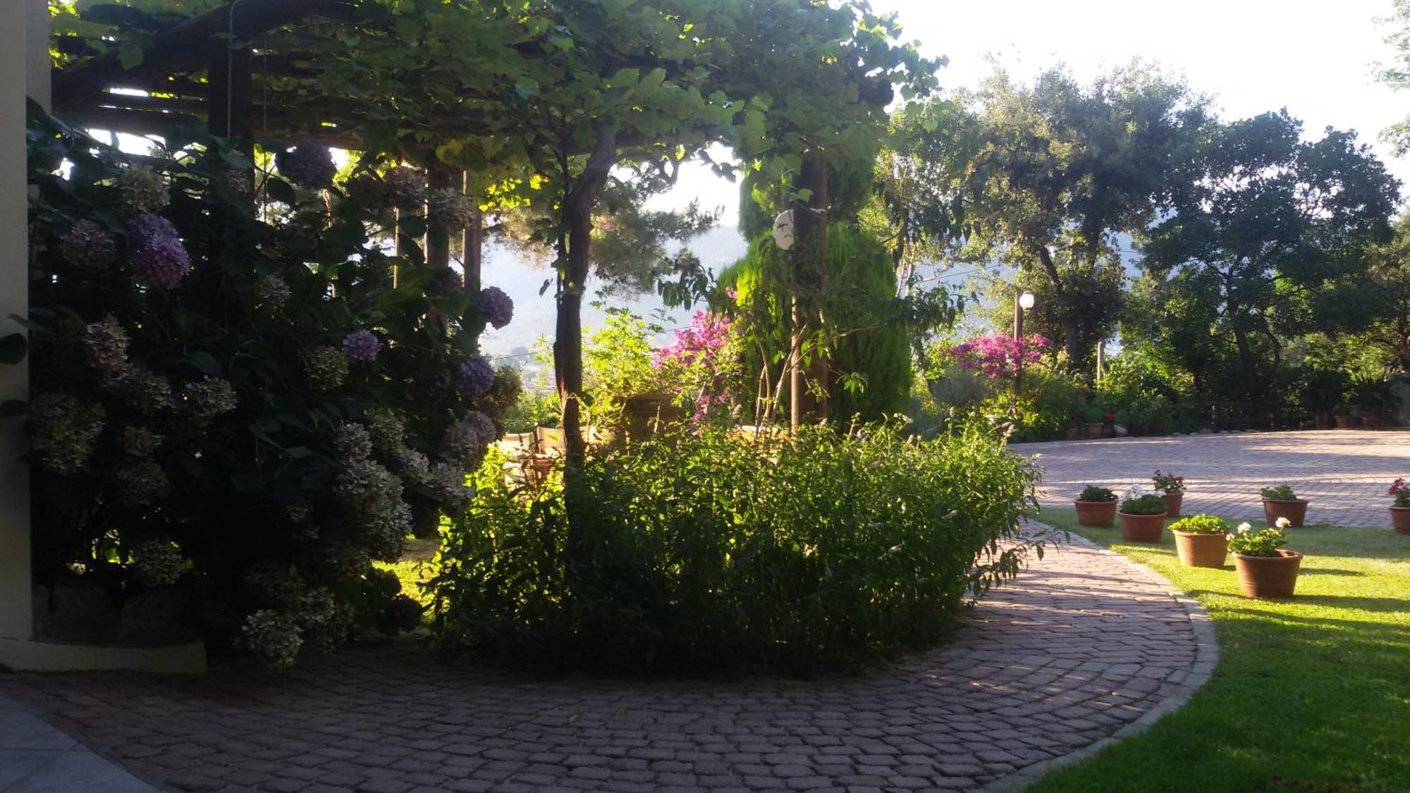Villa Dimitra Szkála Potamiász Kültér fotó
